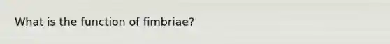 What is the function of fimbriae?