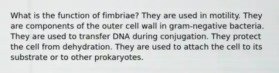 What is the function of fimbriae? They are used in motility. They are components of the outer cell wall in gram-negative bacteria. They are used to transfer DNA during conjugation. They protect the cell from dehydration. They are used to attach the cell to its substrate or to other prokaryotes.