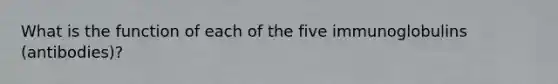 What is the function of each of the five immunoglobulins (antibodies)?