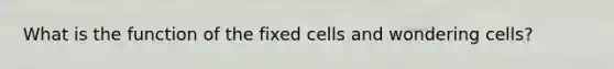 What is the function of the fixed cells and wondering cells?