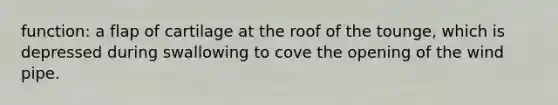 function: a flap of cartilage at the roof of the tounge, which is depressed during swallowing to cove the opening of the wind pipe.