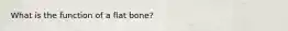 What is the function of a flat bone?