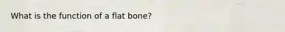 What is the function of a flat bone?