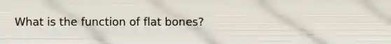 What is the function of flat bones?