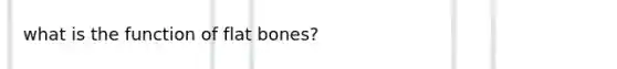 what is the function of flat bones?