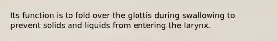 Its function is to fold over the glottis during swallowing to prevent solids and liquids from entering the larynx.