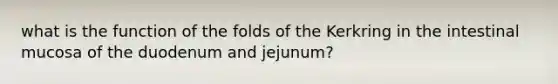 what is the function of the folds of the Kerkring in the intestinal mucosa of the duodenum and jejunum?