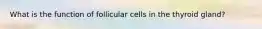 What is the function of follicular cells in the thyroid gland?