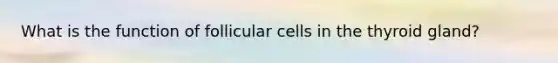 What is the function of follicular cells in the thyroid gland?