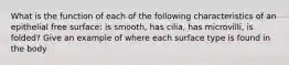 What is the function of each of the following characteristics of an epithelial free surface: is smooth, has cilia, has microvilli, is folded? Give an example of where each surface type is found in the body