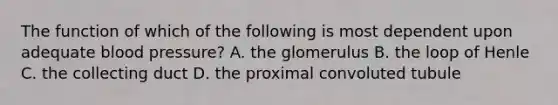 The function of which of the following is most dependent upon adequate blood pressure? A. the glomerulus B. the loop of Henle C. the collecting duct D. the proximal convoluted tubule