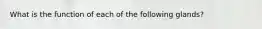 What is the function of each of the following glands?