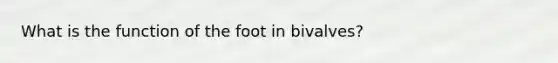 What is the function of the foot in bivalves?