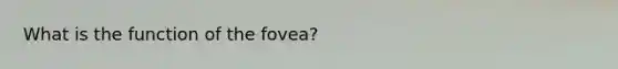 What is the function of the fovea?