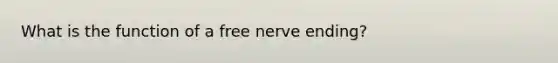 What is the function of a free nerve ending?