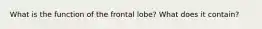 What is the function of the frontal lobe? What does it contain?