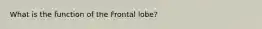 What is the function of the Frontal lobe?