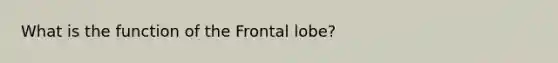 What is the function of the Frontal lobe?