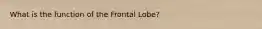 What is the function of the Frontal Lobe?