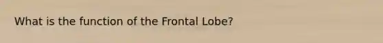 What is the function of the Frontal Lobe?