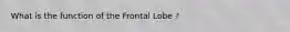 What is the function of the Frontal Lobe ?