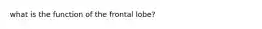 what is the function of the frontal lobe?