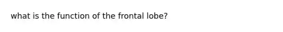 what is the function of the frontal lobe?