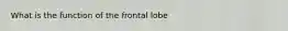 What is the function of the frontal lobe