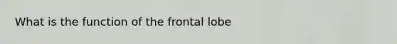 What is the function of the frontal lobe