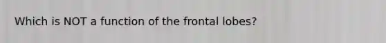 Which is NOT a function of the frontal lobes?