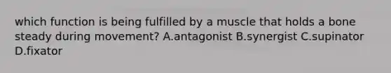 which function is being fulfilled by a muscle that holds a bone steady during movement? A.antagonist B.synergist C.supinator D.fixator