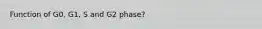 Function of G0, G1, S and G2 phase?