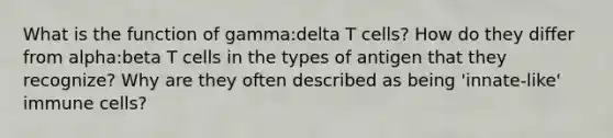 What is the function of gamma:delta T cells? How do they differ from alpha:beta T cells in the types of antigen that they recognize? Why are they often described as being 'innate-like' immune cells?