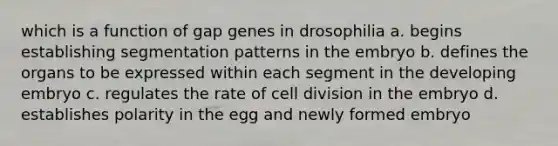 which is a function of gap genes in drosophilia a. begins establishing segmentation patterns in the embryo b. defines the organs to be expressed within each segment in the developing embryo c. regulates the rate of cell division in the embryo d. establishes polarity in the egg and newly formed embryo