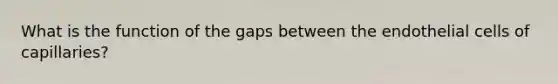 What is the function of the gaps between the endothelial cells of capillaries?