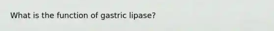 What is the function of gastric lipase?