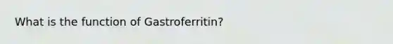 What is the function of Gastroferritin?