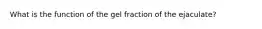 What is the function of the gel fraction of the ejaculate?