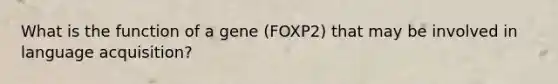 What is the function of a gene (FOXP2) that may be involved in language acquisition?