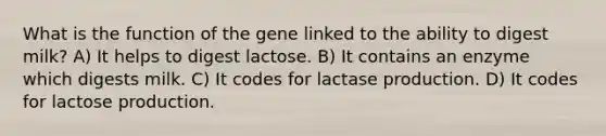 What is the function of the gene linked to the ability to digest milk? A) It helps to digest lactose. B) It contains an enzyme which digests milk. C) It codes for lactase production. D) It codes for lactose production.