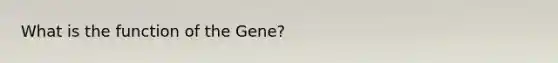 What is the function of the Gene?