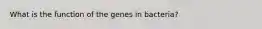 What is the function of the genes in bacteria?