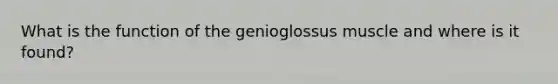 What is the function of the genioglossus muscle and where is it found?