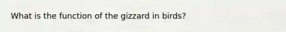 What is the function of the gizzard in birds?