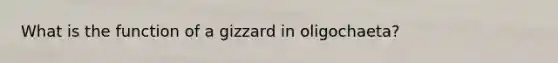 What is the function of a gizzard in oligochaeta?