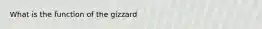 What is the function of the gizzard