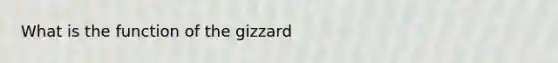 What is the function of the gizzard