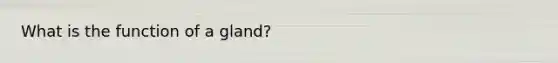 What is the function of a gland?