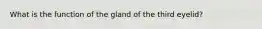 What is the function of the gland of the third eyelid?