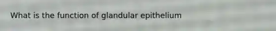 What is the function of glandular epithelium